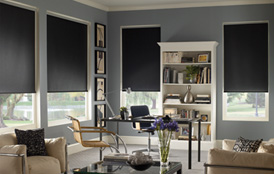 Envision Roller Shades